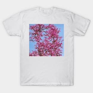 Cherry Blossom Tree T-Shirt